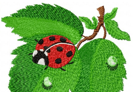 Ladybug Embroidery Design Review